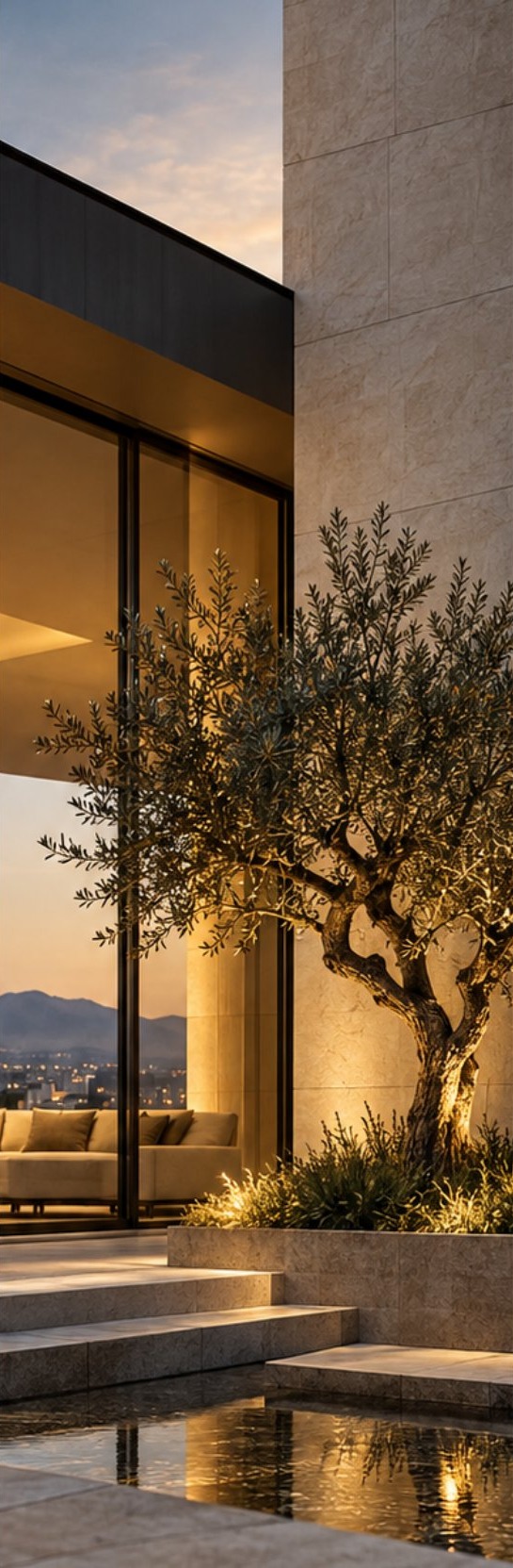 Olivo junto a muro de piedra en una residencia contemporánea